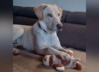 Neo wartet auf seine Familie