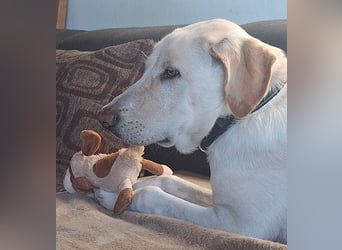 Neo wartet auf seine Familie