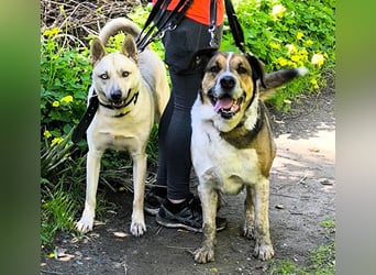 GOLFO möchte dein Leben bereichern