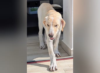 Neo wartet auf seine Familie