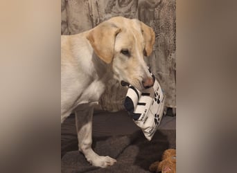 NEO wartet auf seine Familie