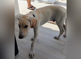 Neo wartet auf seine Familie