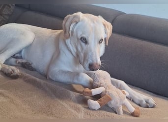 NEO wartet auf seine Familie