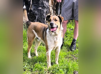 GOLFO möchte dein Leben bereichern