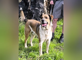 GOLFO möchte dein Leben bereichern