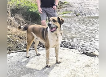 GOLFO möchte dein Leben bereichern