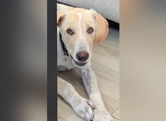 Neo wartet auf seine Familie