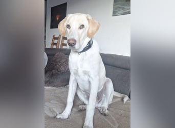 NEO wartet auf seine Familie