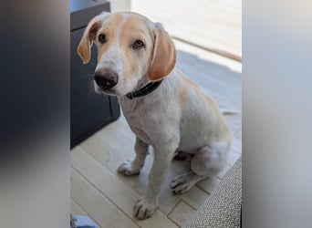 Neo wartet auf seine Familie