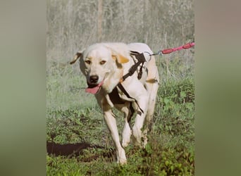 Doya – ein großer Schatz