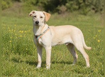 Chris - freundlich und neugierig