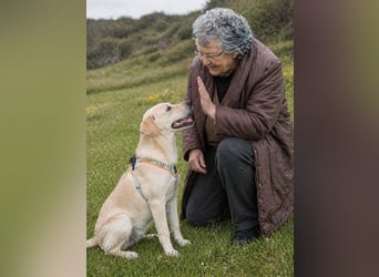 Chris - freundlich und neugierig