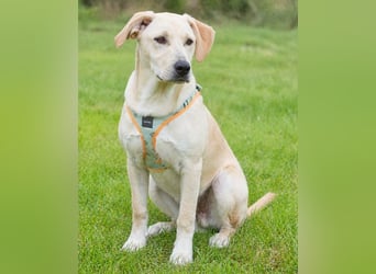 Chris - freundlich und neugierig