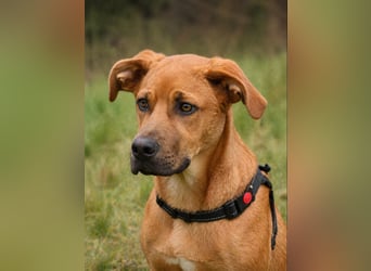 Matheo - will die Welt entdecken