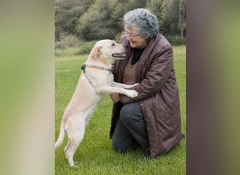 Chris - freundlich und neugierig