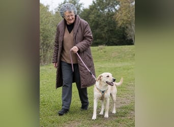 Chris - freundlich und neugierig