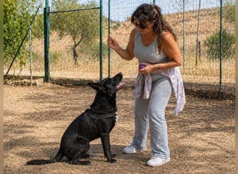 Luke – ein prima Kumpel