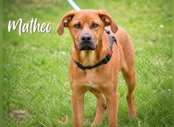 Matheo - will die Welt entdecken
