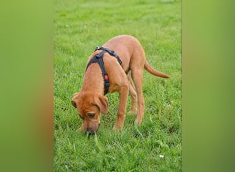 Matheo - will die Welt entdecken