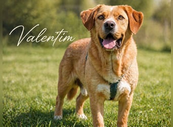 Valentim - ein Powerpaket