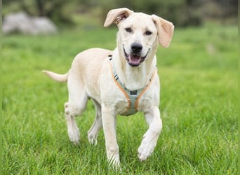 Chris - freundlich und neugierig