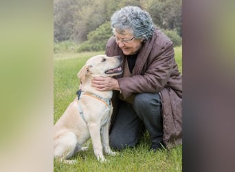 Chris - freundlich und neugierig