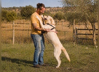 Doya – ein großer Schatz