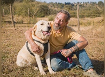 Doya – ein großer Schatz