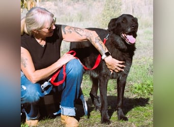 Mike – ein Goldschatz