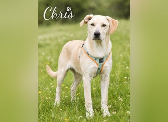 Chris - freundlich und neugierig