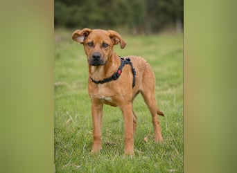 Matheo - will die Welt entdecken