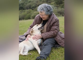 Chris - freundlich und neugierig