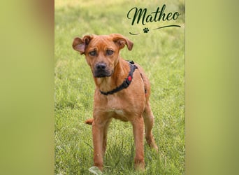 Matheo - will die Welt entdecken