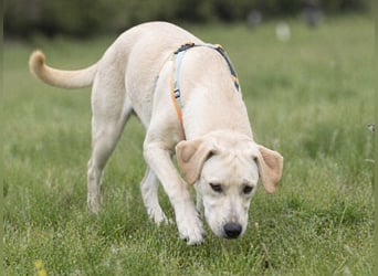 Chris - freundlich und neugierig