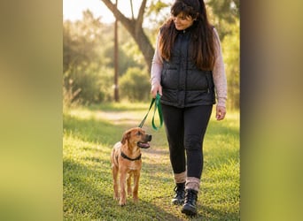 Matheo - will die Welt entdecken