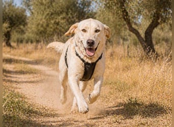 Doya – ein großer Schatz