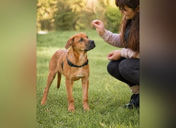 Matheo - will die Welt entdecken