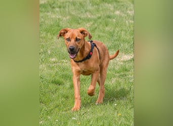 Matheo - will die Welt entdecken