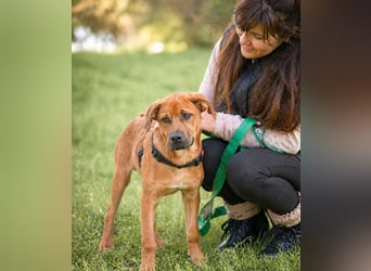 Matheo - will die Welt entdecken