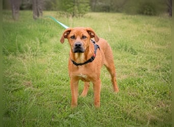Matheo - will die Welt entdecken