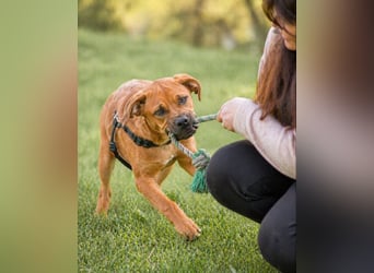 Matheo - will die Welt entdecken