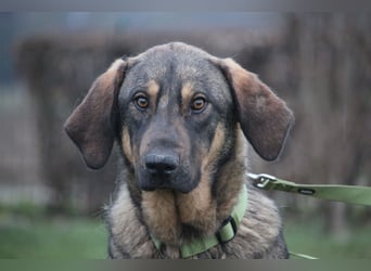 Pablo – leise Seele sucht seine Familie...