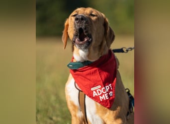 HSH-Mix-JungLady ♥ Suvi ♥ 63911 Klingenberg/Main