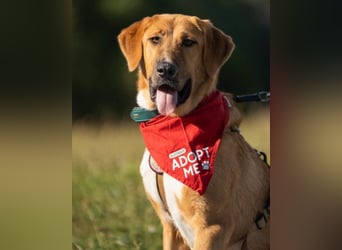 HSH-Mix-Lady ♥Suvi♥ wartet bereits in 63911 Klingenberg/Main