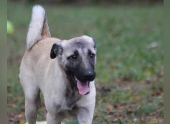 Maya ❤️ aktive, so liebe HSH-Mix Dame