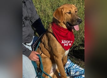 HSH-Mix-Lady ♥Suvi♥ wartet bereits in 63911 Klingenberg/Main