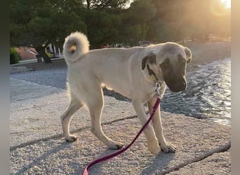 Maya ❤️ aktive, so liebe HSH-Mix Dame