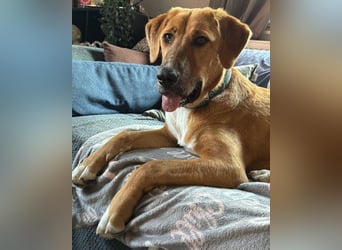 HSH-Mix-JungLady ♥ Suvi ♥ 63911 Klingenberg/Main