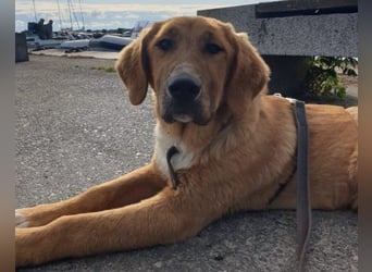 HSH-Mix-Lady ♥Suvi♥ wartet bereits in 63911 Klingenberg/Main