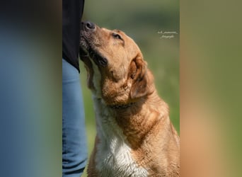 HSH-Mix ♥ SUVI ♥ wartet bereits in 25779 Hennstedt auf Euch
